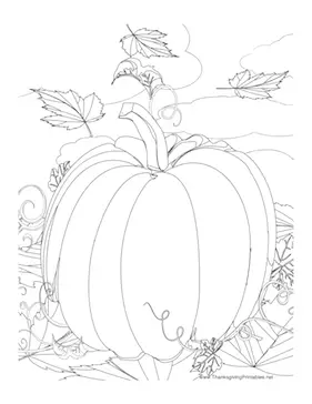 Thanksgiving Pumpkin Coloring Page
