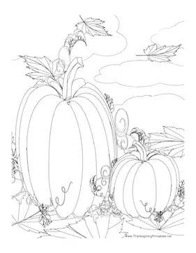 Thanksgiving Pumpkins Coloring Page