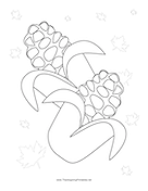 Corn Coloring Page